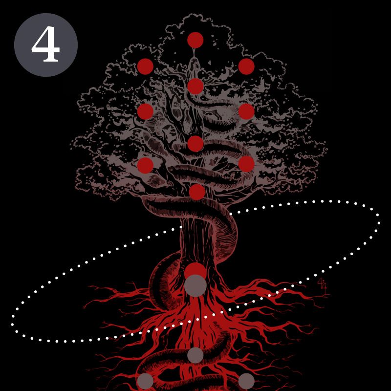 La Cabala. L'Albero della Vita e della Morte